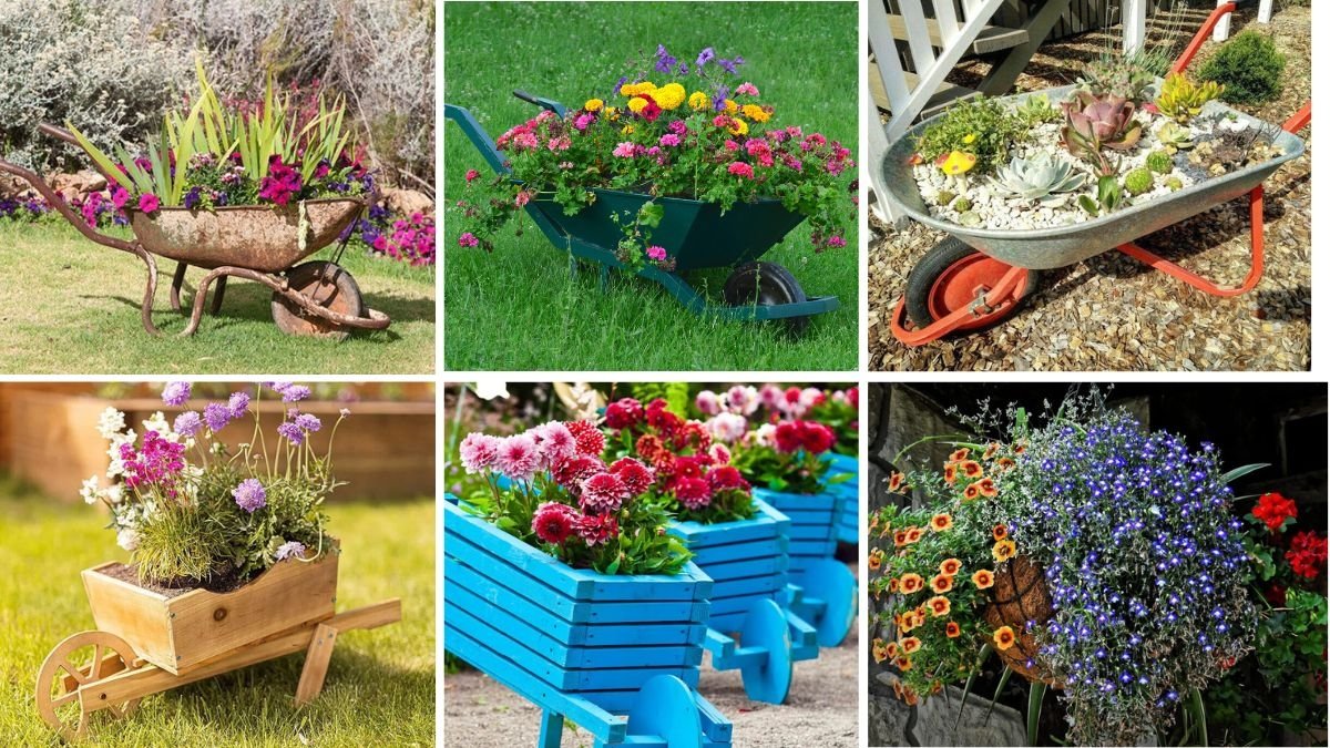 How to Use Wheelbarrow for Flower Beds: Easy Tips for Gardeners