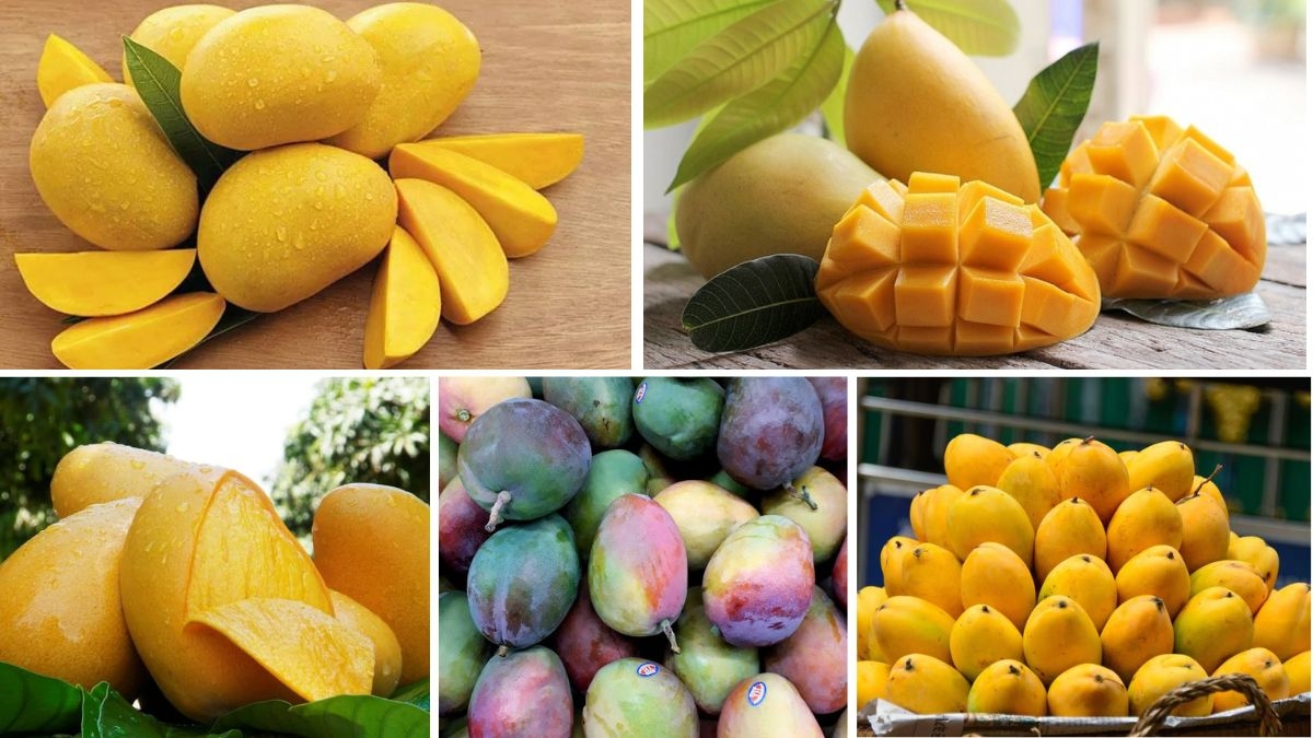 Which Country is the Largest Mango Exporter?