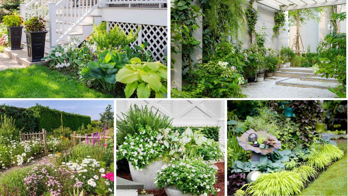 5 Gorgeous Shaded Flower Beds to Brighten Dim Garden Areas
