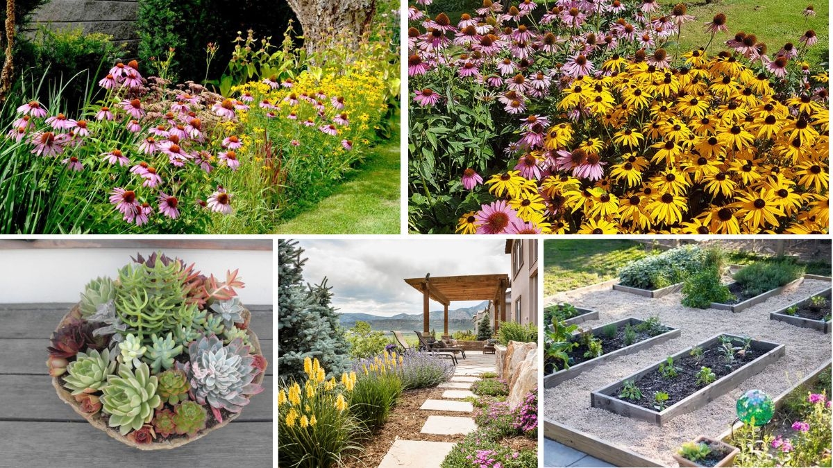 5 Low-Water Flower Bed Designs for Dry Climates