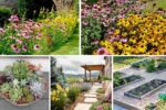 5 Low-Water Flower Bed Designs for Dry Climates