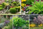 5 Stunning Fern and Flower Bed Ideas for Lush Gardens