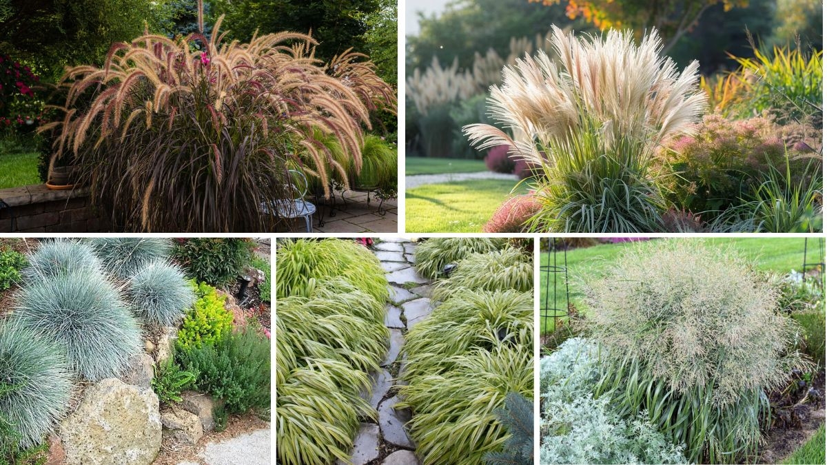 5 Gorgeous Edged Flower Beds with Ornamental Grass