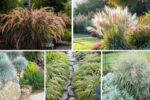 5 Gorgeous Edged Flower Beds with Ornamental Grass