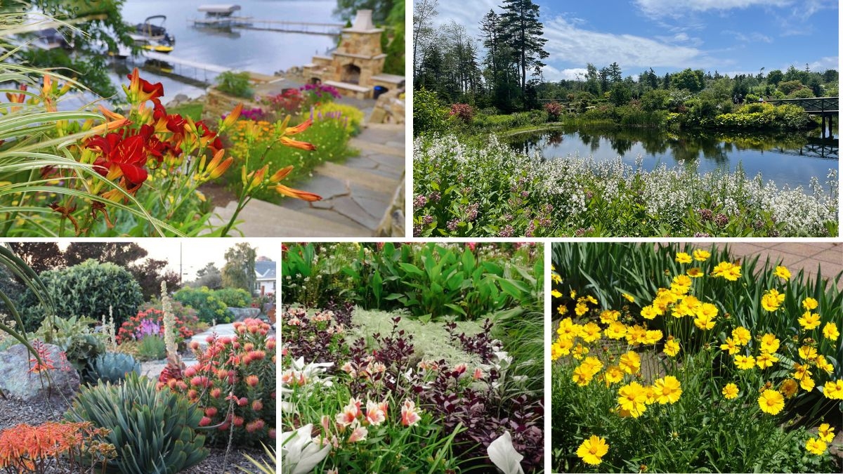 5 Gorgeous Oceanfront Flower Beds for a Coastal Garden Vibe