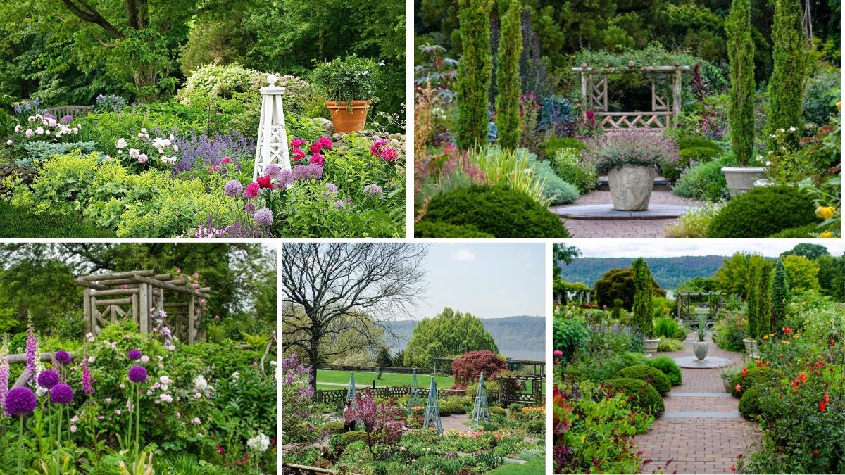 5 Beautiful Mountain Retreat Flower Bed Ideas for Natural Charm