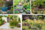 5 Unique Desert Flower Beds for Drought-Friendly Style