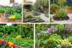 5 Creative Edible Flower Beds for Beauty and Flavor Combined