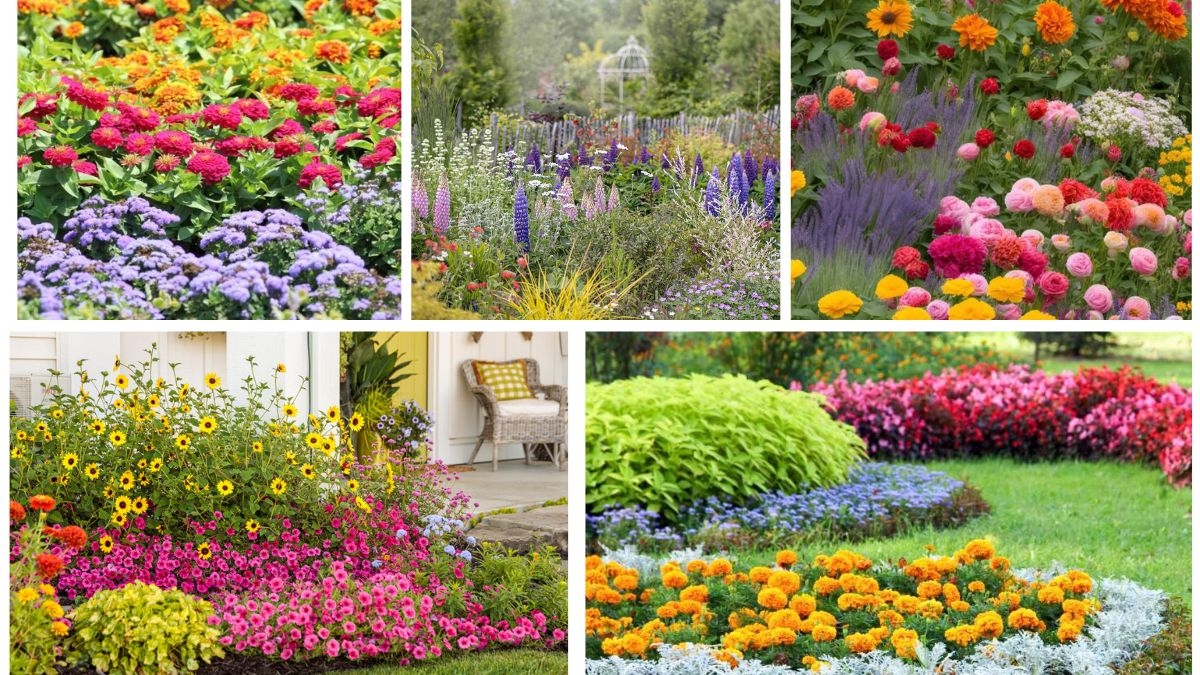 How to Plant Flowers and Create a Colorful Garden