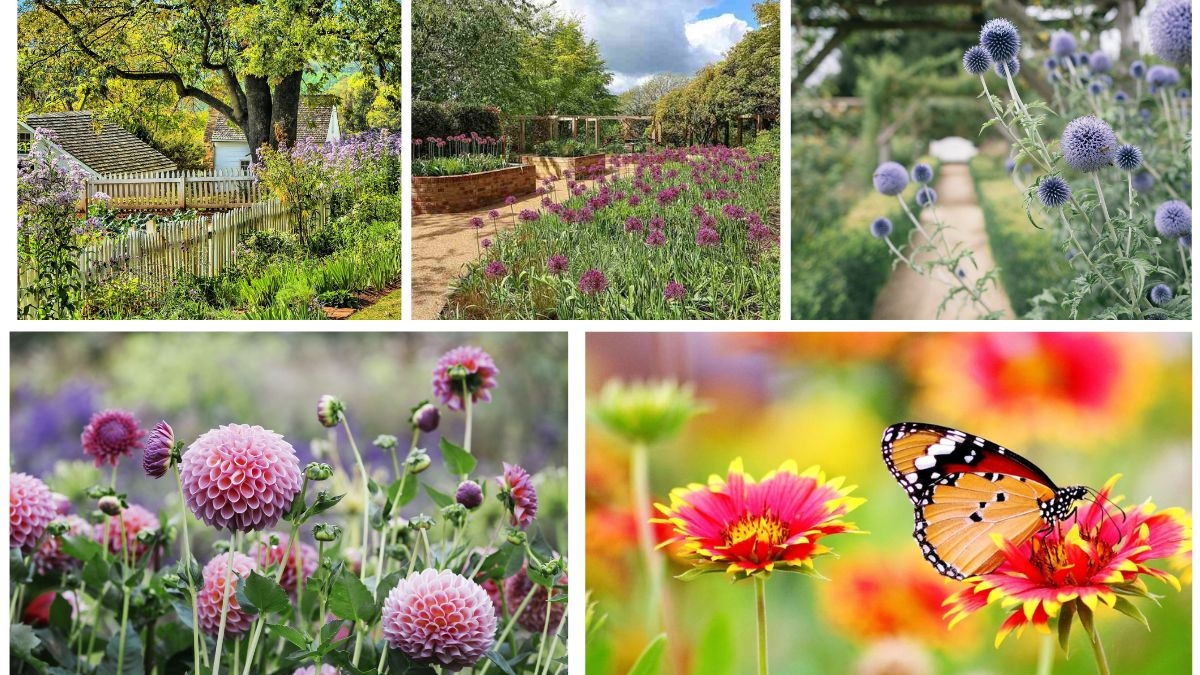 5 Plants Perfect for Sensory Gardens and Relaxation