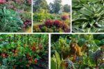 5 Garden Plants with Edible Leaves for Dual Beauty and Taste