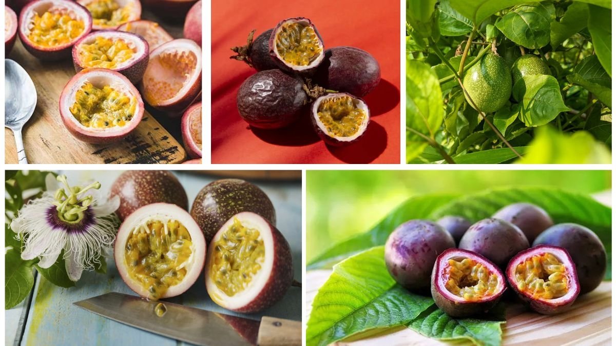 Which Country Is the World’s Top Passion Fruit Producer?