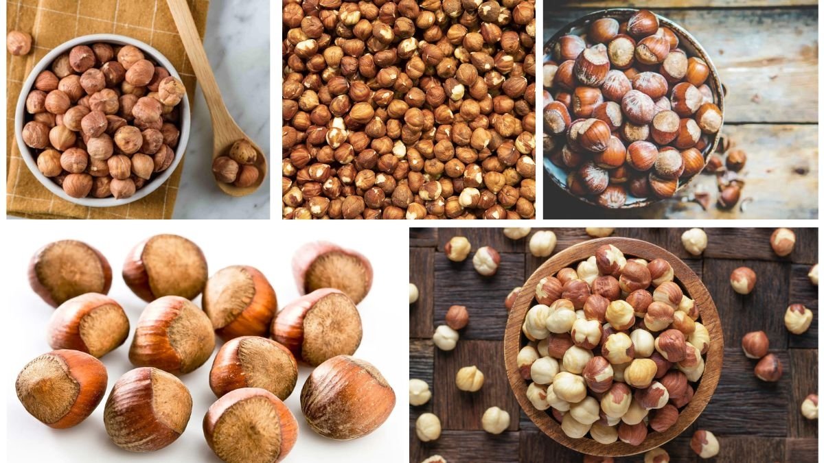 Which Country Produces the Most Hazelnuts Globally?